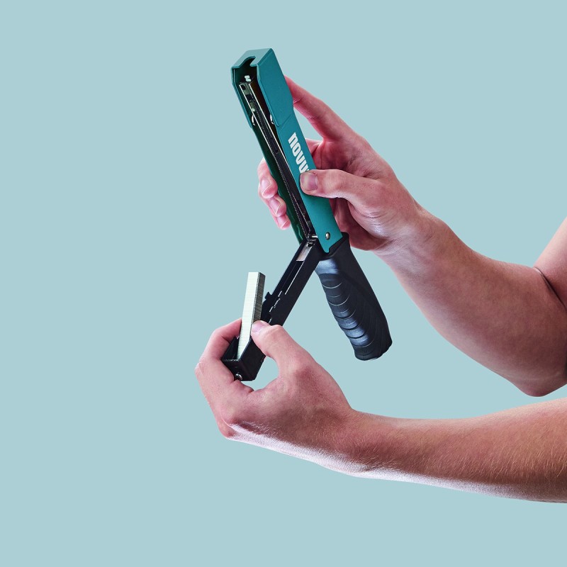 Novus klambrinui J-033 - Image 6